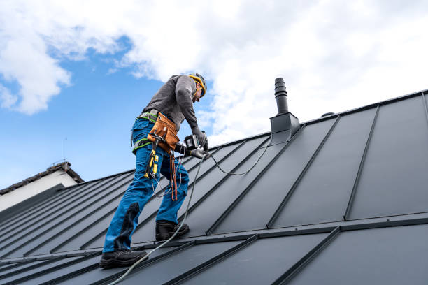 Best Steel Roofing  in Beverly Hills, CA